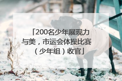 200名少年展现力与美，市运会体操比赛（少年组）收官